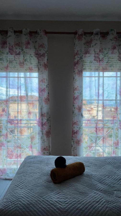 Pedestrian Street Center Apartment Shkodër Dış mekan fotoğraf