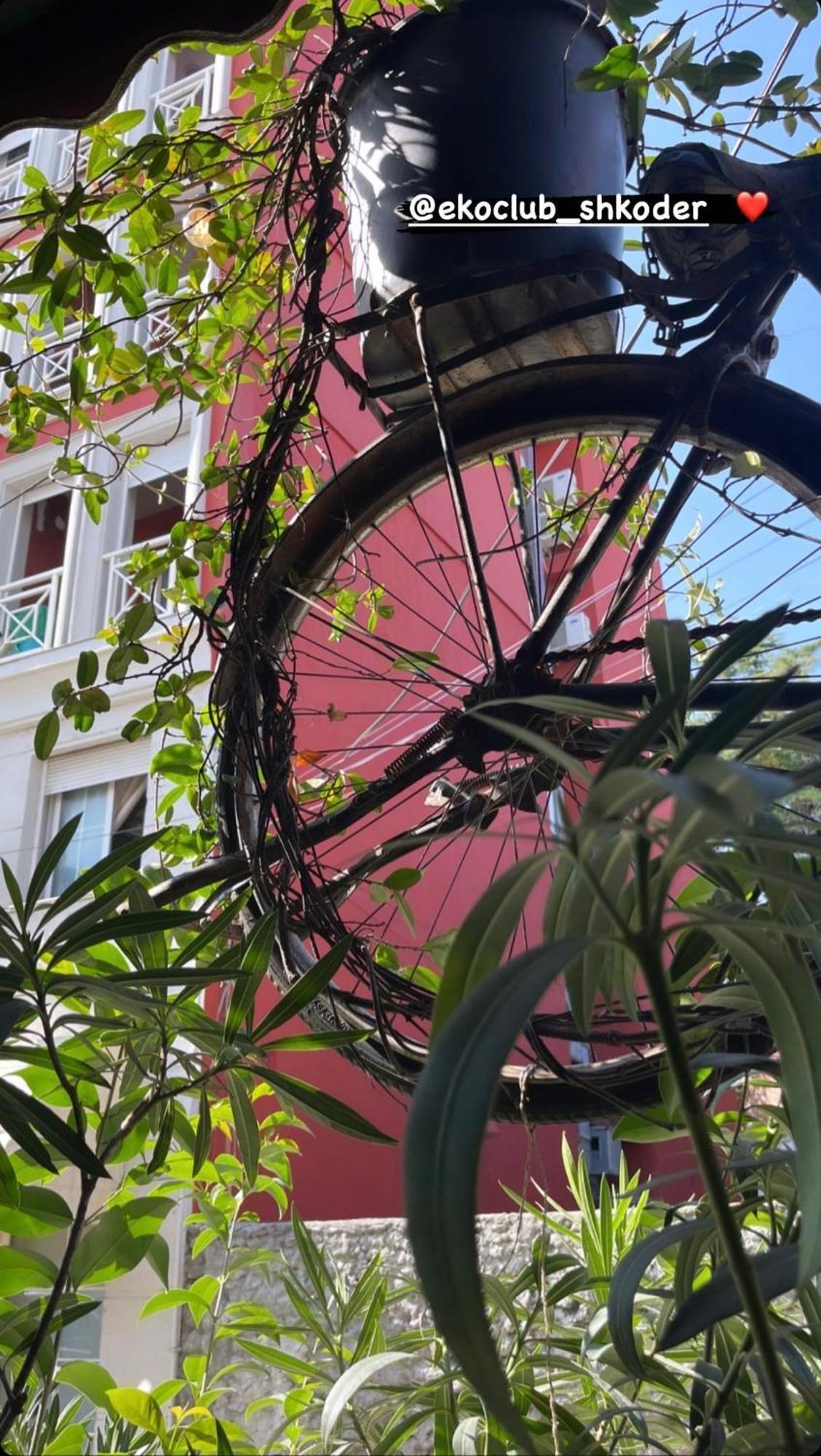 Pedestrian Street Center Apartment Shkodër Dış mekan fotoğraf